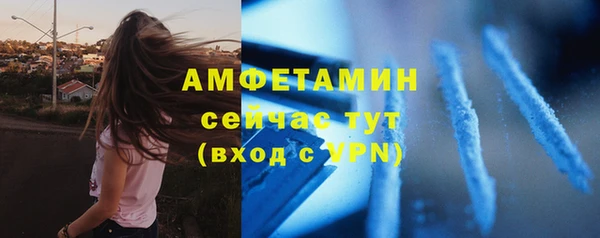 трава Белокуриха