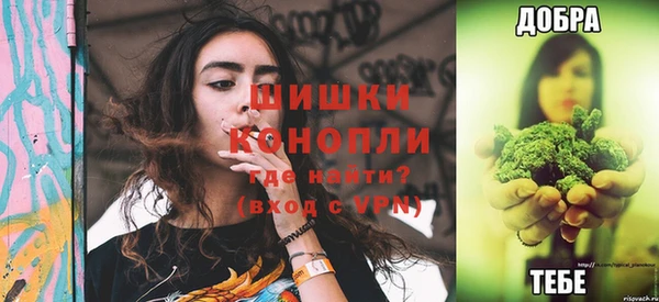 трава Белокуриха