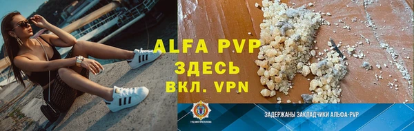 трава Белокуриха