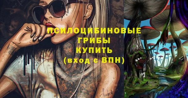 трава Белокуриха